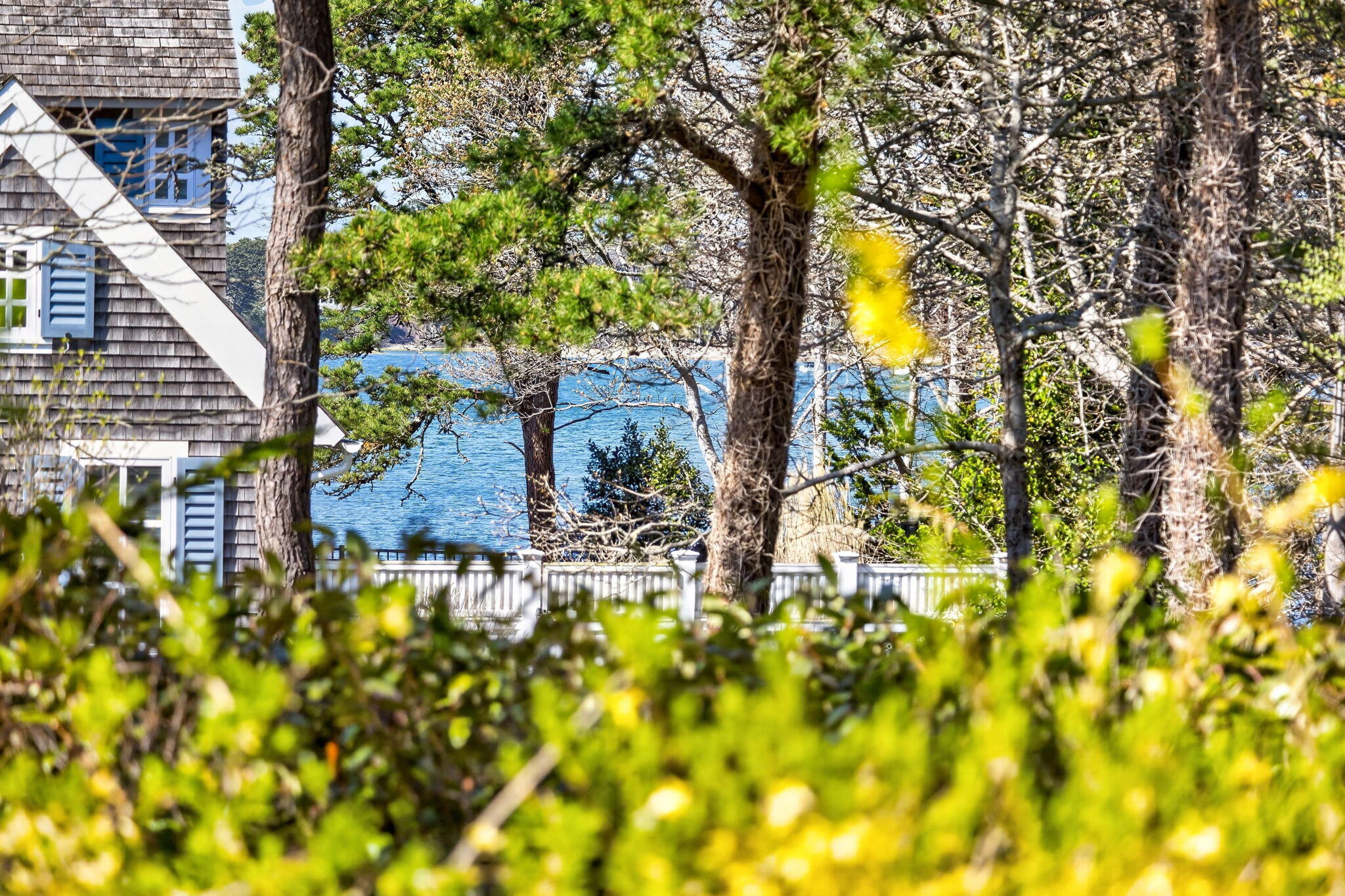 148 Seapine Road North Chatham, MA 02650 - Photo 5 of 30 38-PF0A3944