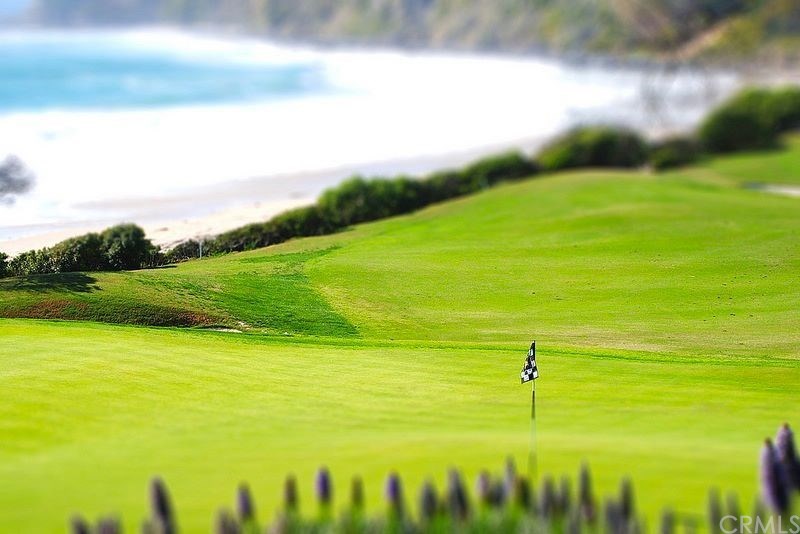 43 Cassis Dana Point, CA 92629 - Photo 32 of 41 a view of an ocean and a yard from a balcony