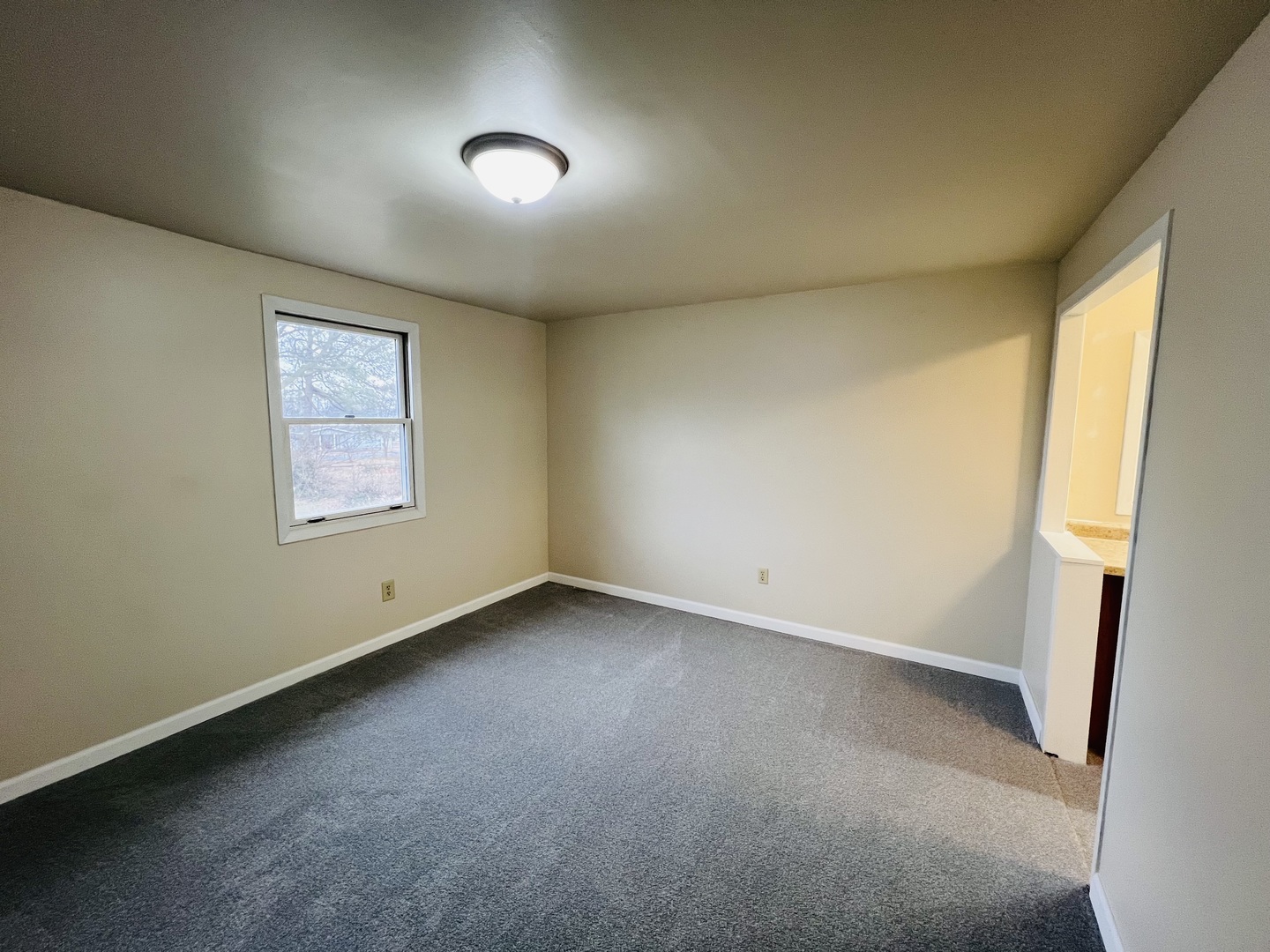 1007 Murphy Street Eldorado, IL 62930 - Photo 17 of 21