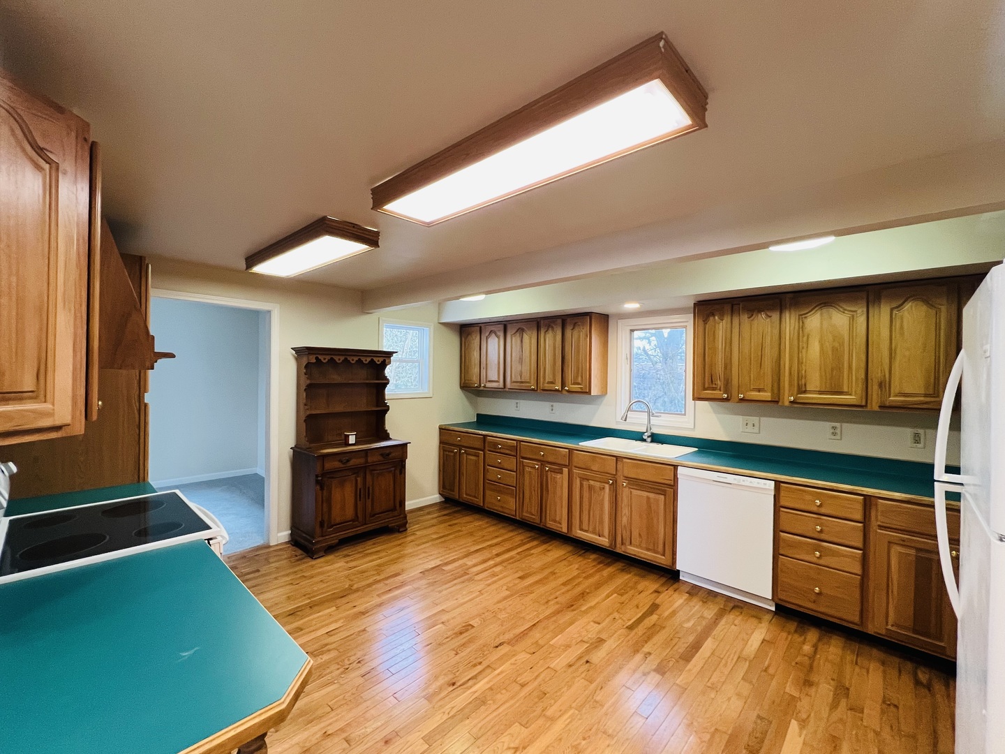 1007 Murphy Street Eldorado, IL 62930 - Photo 8 of 21