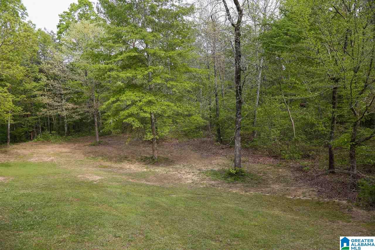 3820 Valley Ford Road Adger, AL 35006 - Photo 12 of 13 Gallery Image 12