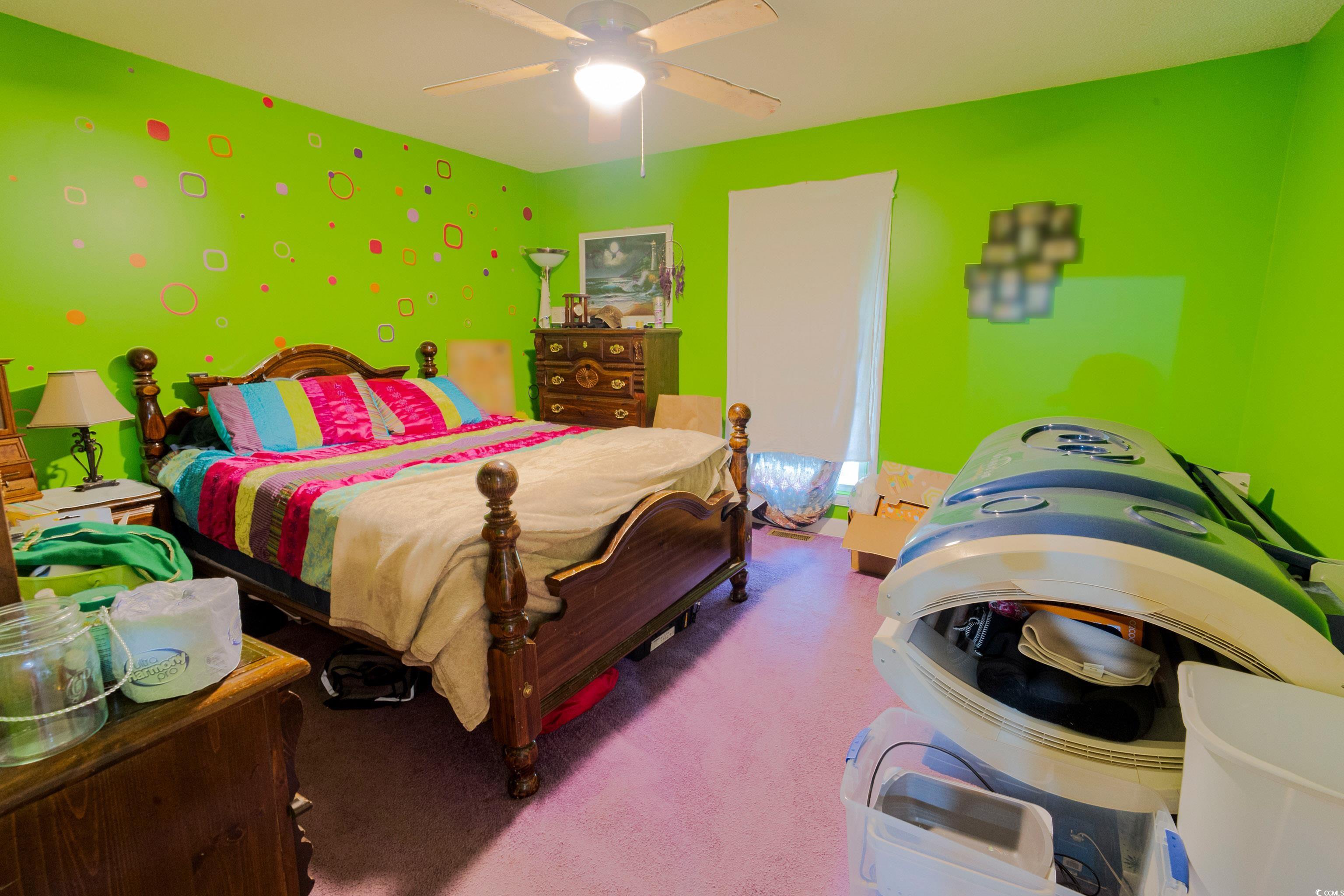 1582 Santee Road Andrews, SC 29510 - Photo 20 of 40 Bedroom featuring carpet flooring and a ceiling fan