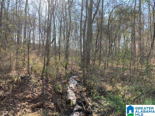 223 County Road, Unit 52 Lineville, AL 36266 - Photo 14 of 15