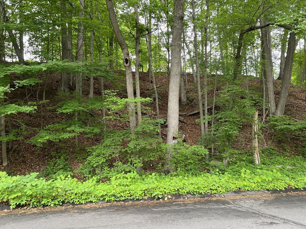 Lot 114 Bark Haul Road Longmeadow, MA 01106 - Photo 1 of 4