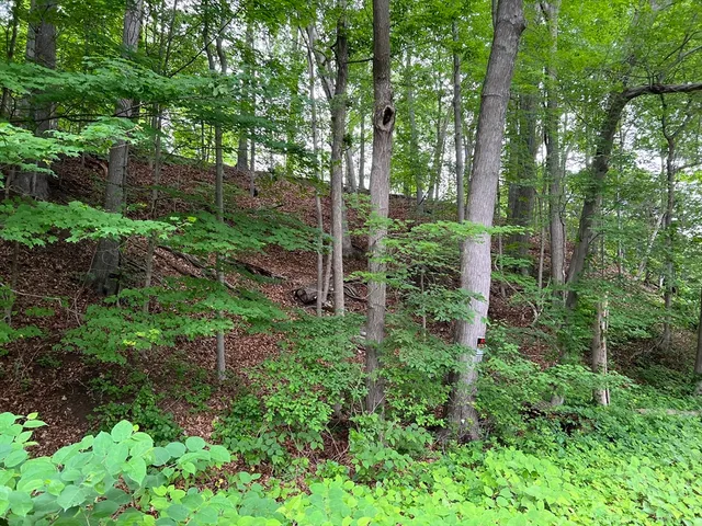 $79,000 | Lot 114 Bark Haul Road, Longmeadow, MA 01106
