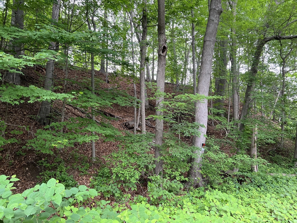 Lot 114 Bark Haul Road Longmeadow, MA 01106 - Photo 3 of 4