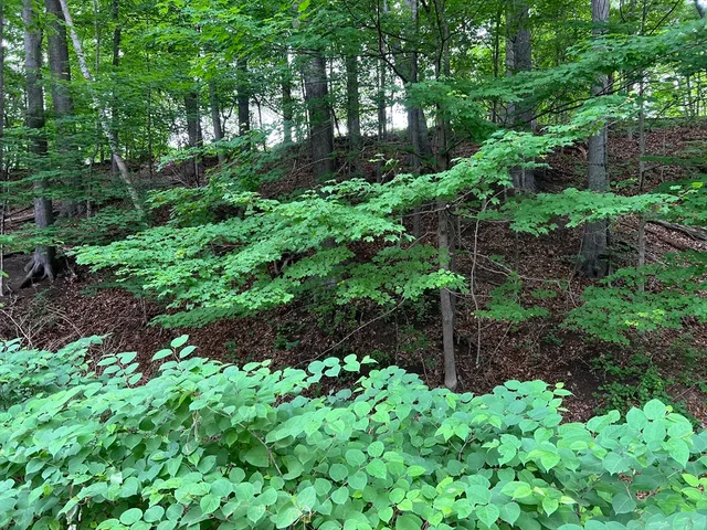 $79,000 | Lot 114 Bark Haul Road, Longmeadow, MA 01106