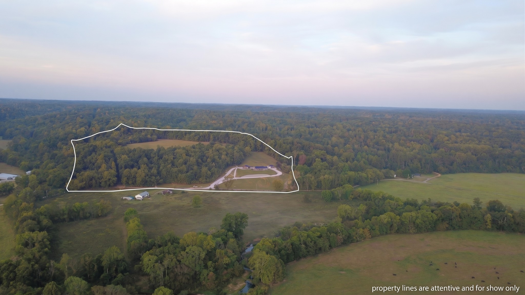 1447 West Beaverdam Road Centerville, TN 37033 - Photo 43 of 58 Gallery Image 43