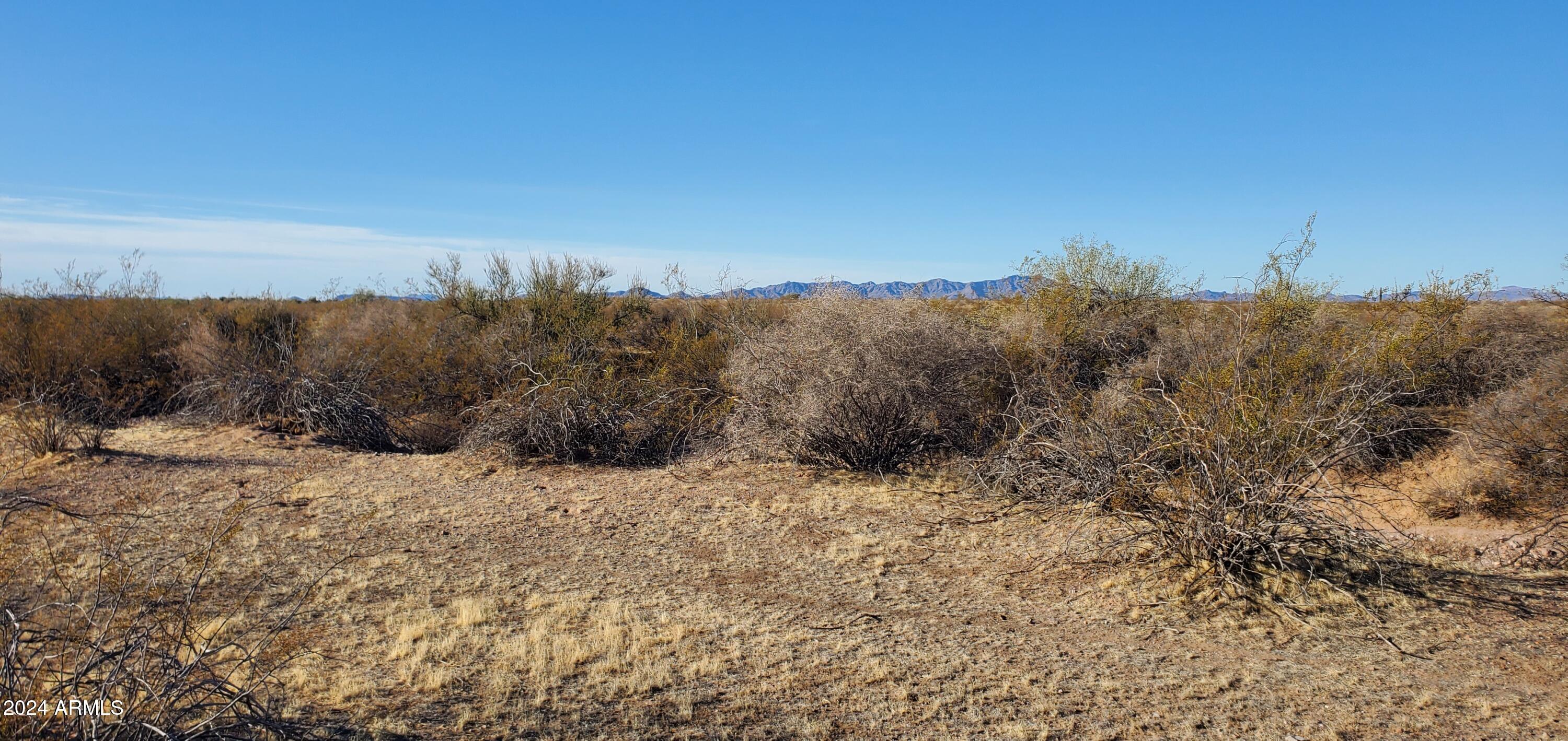 30649 West Redbird Road, Unit 159 Wittmann, AZ 85361 - Photo 3 of 7 20241128_091758