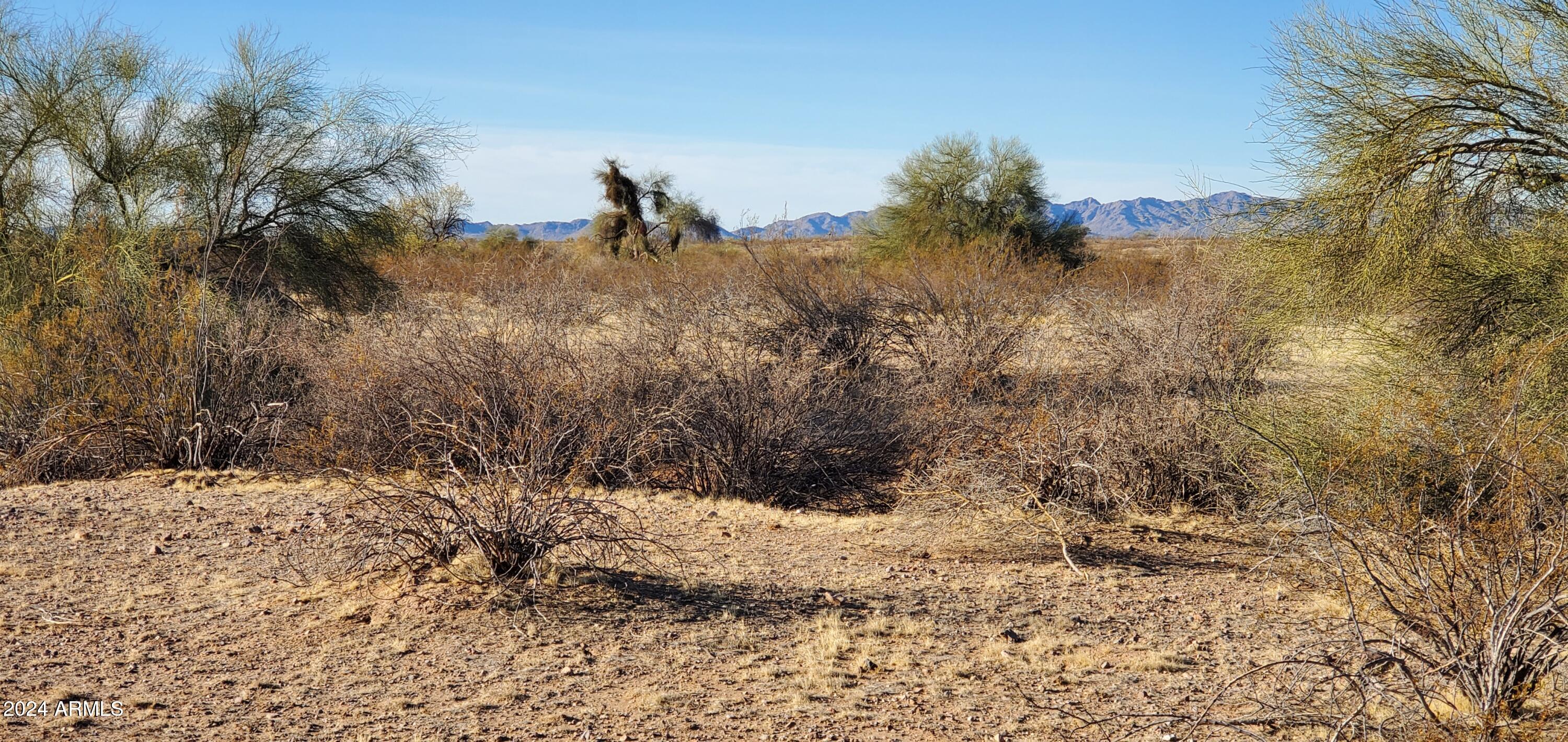 30649 West Redbird Road, Unit 159 Wittmann, AZ 85361 - Photo 4 of 7 20241128_091317