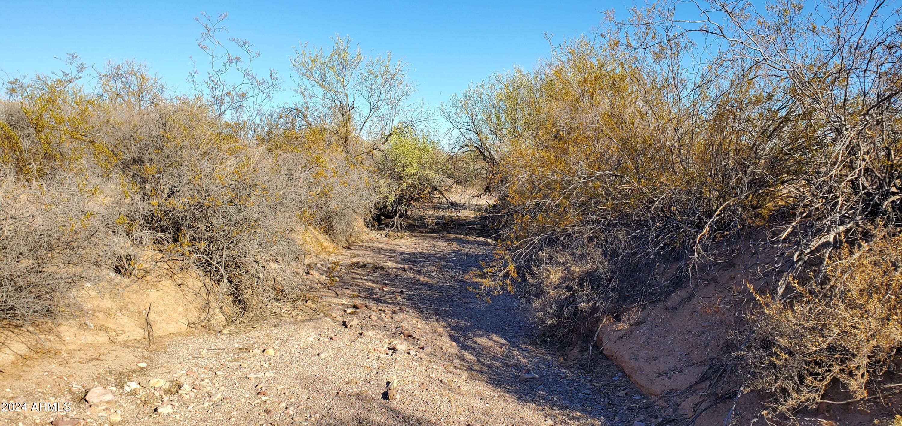 30649 West Redbird Road, Unit 159 Wittmann, AZ 85361 - Photo 5 of 7 20241128_091731