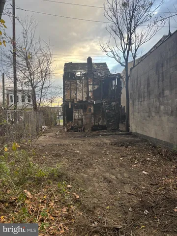 a view of a yard with trees