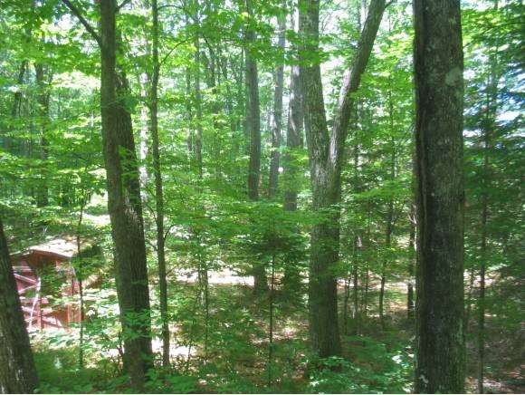 1003 French Pond Road Haverhill, NH 03774 - Photo 5 of 12 Gallery Image 5