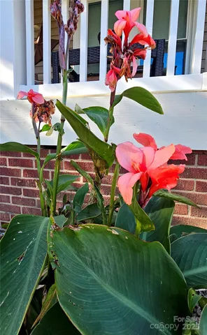 $259,900 | 218 Wilson Street, Unit A&B, Albemarle, NC 28001