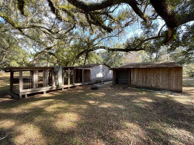 a view of a large tree next to a yard
