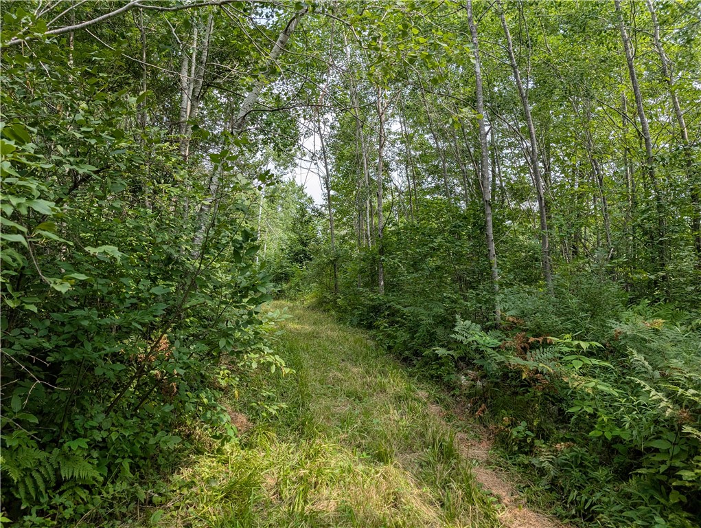 7649 West Hogsback Road Exeland, WI 54835 - Photo 13 of 32