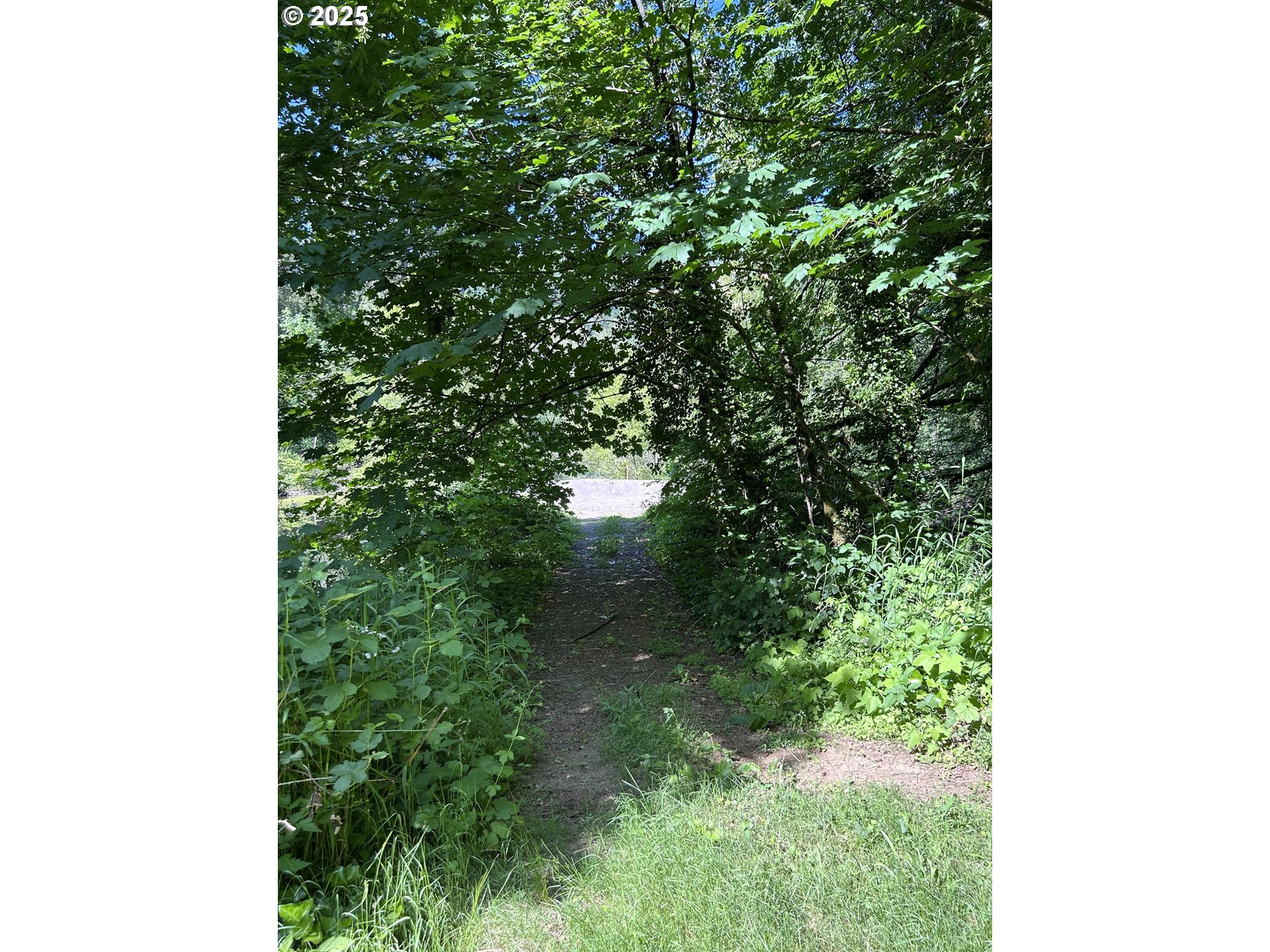 2 East Brightwood Loop Road Brightwood, OR 97011 - Photo 12 of 17