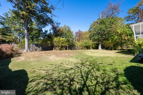 a view of a yard with trees