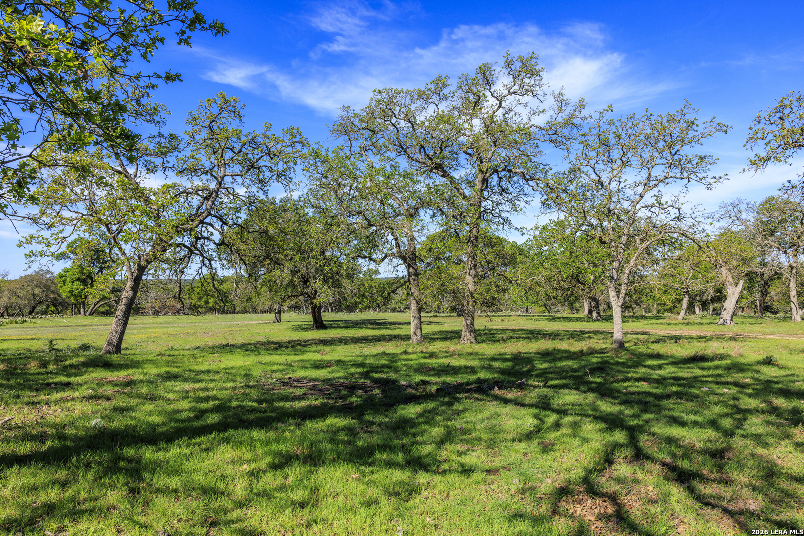 a big yard with lots of green space and trees