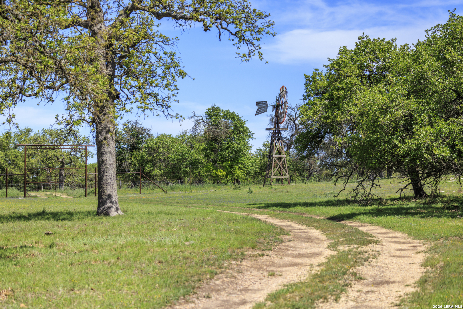 257 Dally Road Comfort, TX 78013 - Photo 14 of 15 a view of a park with large trees