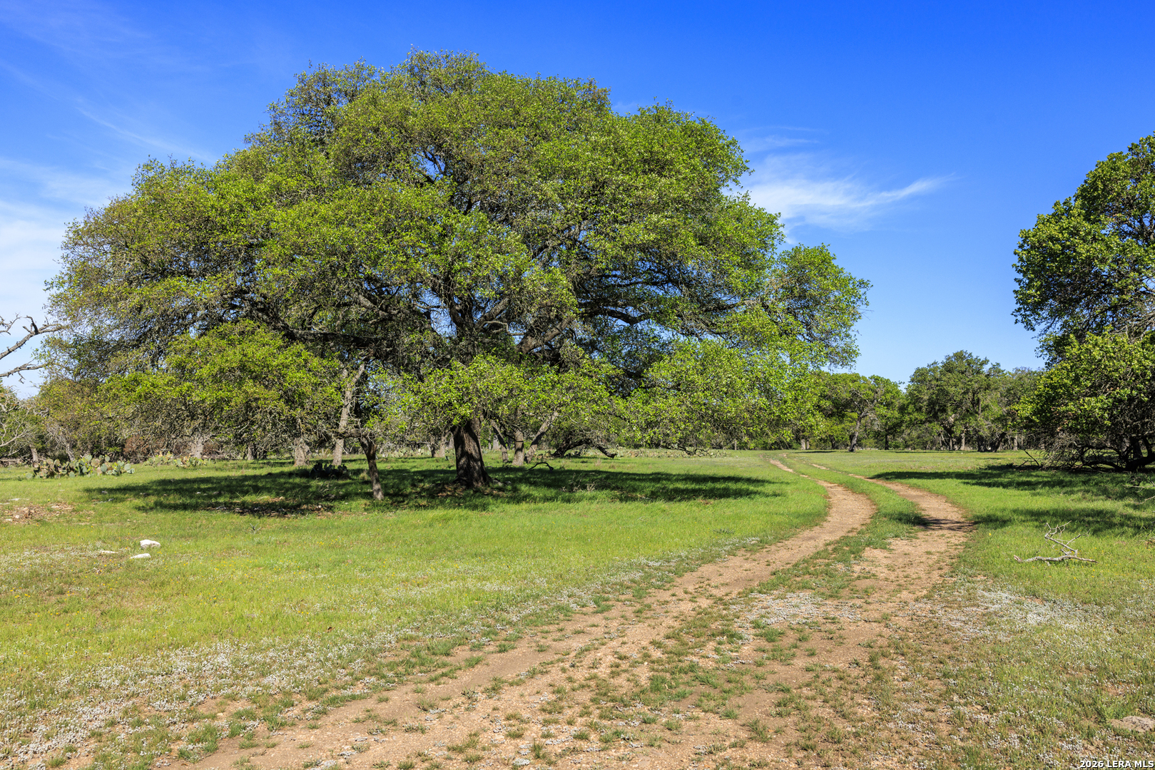257 Dally Road Comfort, TX 78013 - Photo 2 of 15 a view of a park with large trees