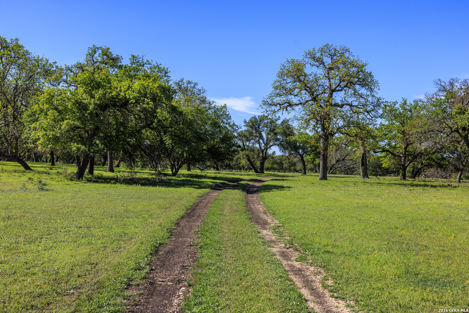 257 Dally Road Comfort, TX 78013 - Photo 5 of 15 a view of a park with large trees