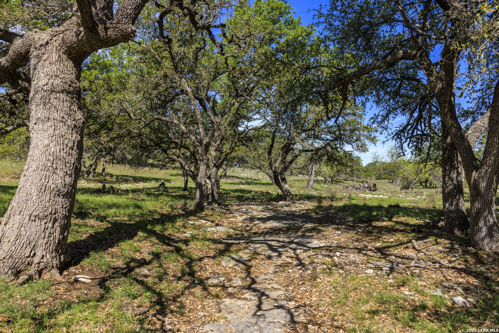 257 Dally Road Comfort, TX 78013 - Photo 6 of 15 a backyard of a house with lots of green space