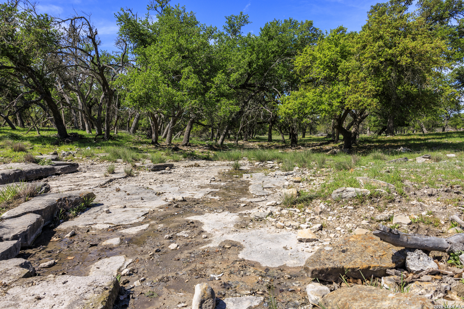 257 Dally Road Comfort, TX 78013 - Photo 7 of 15 a view of backyard with green space