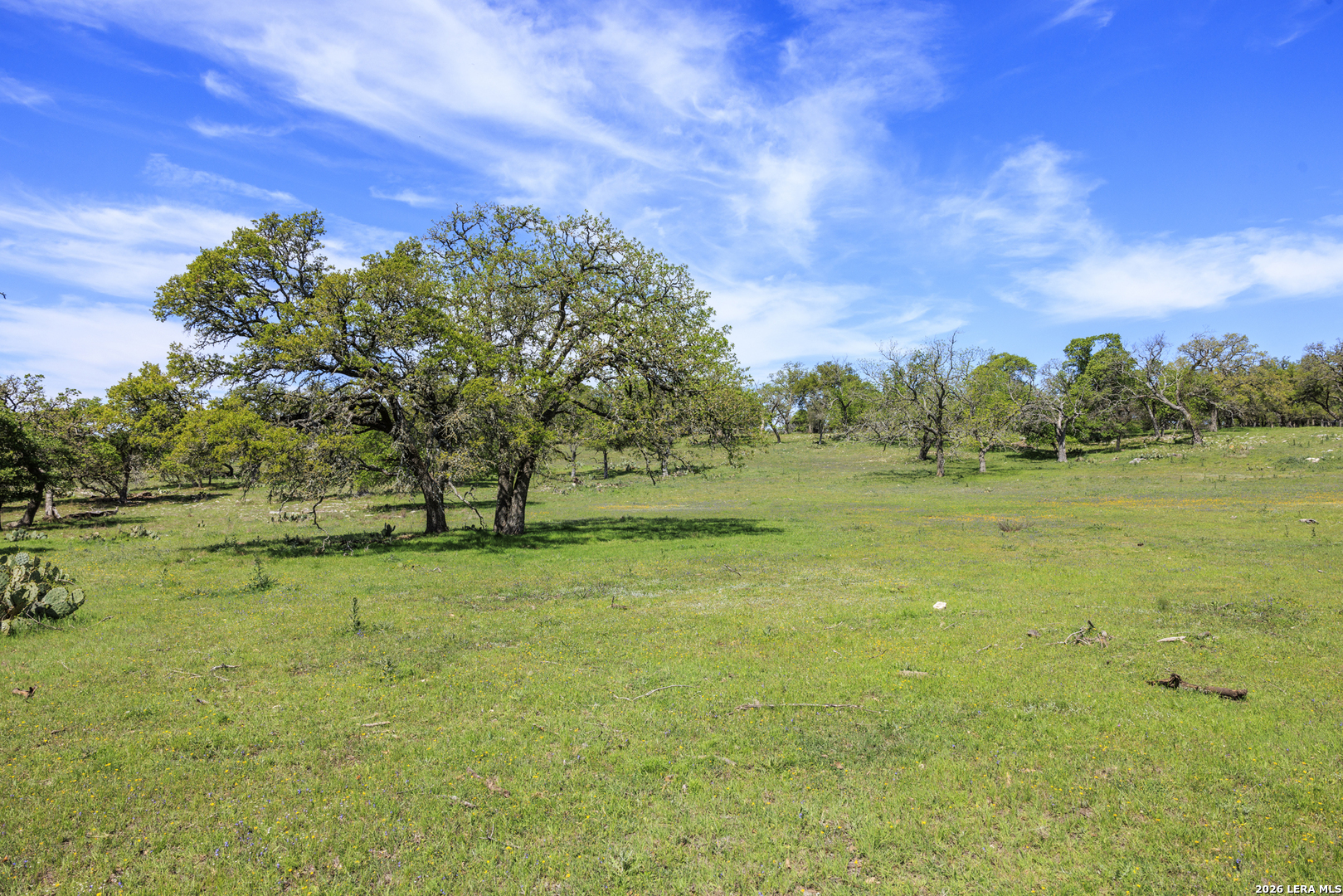 257 Dally Road Comfort, TX 78013 - Photo 8 of 15 a view of a field with an trees