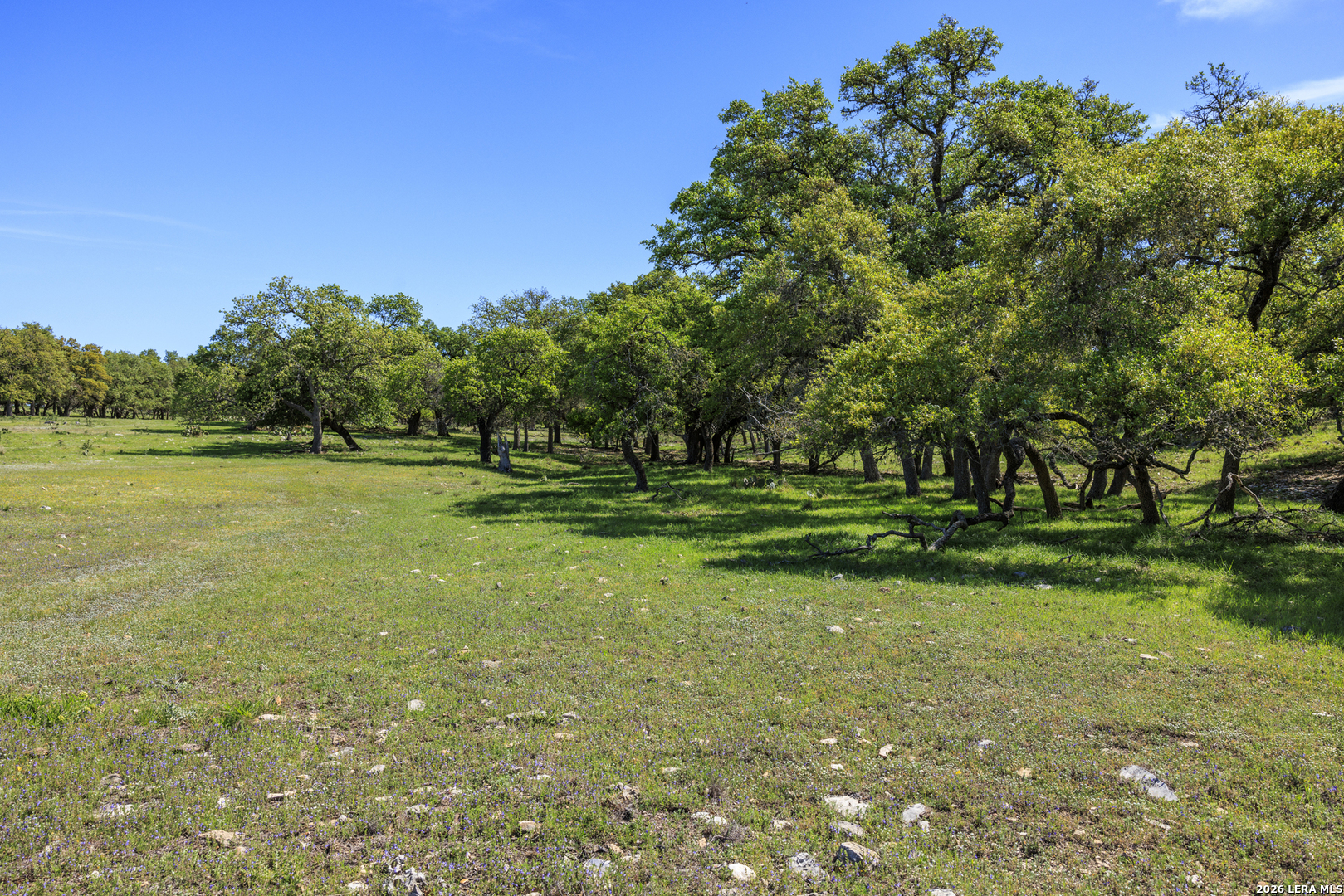 257 Dally Road Comfort, TX 78013 - Photo 9 of 15 a view of a golf course