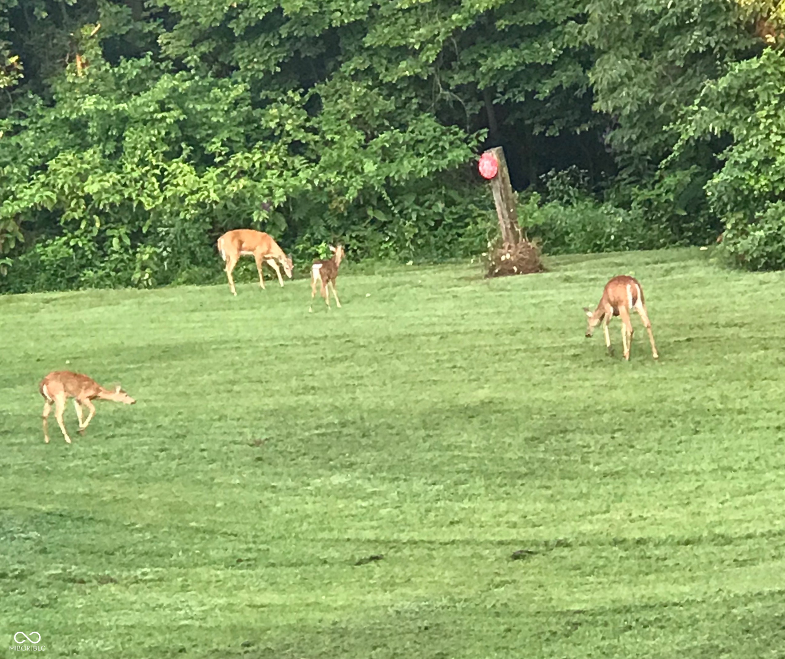 741 North County Line Road East Gosport, IN 47433 - Photo 79 of 85