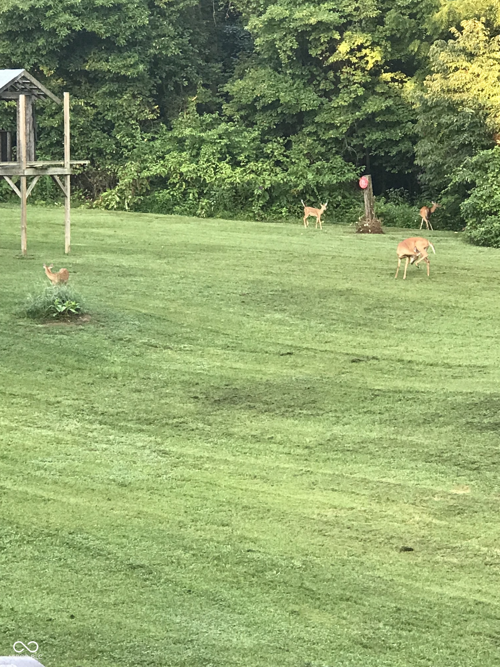 741 North County Line Road East Gosport, IN 47433 - Photo 80 of 85