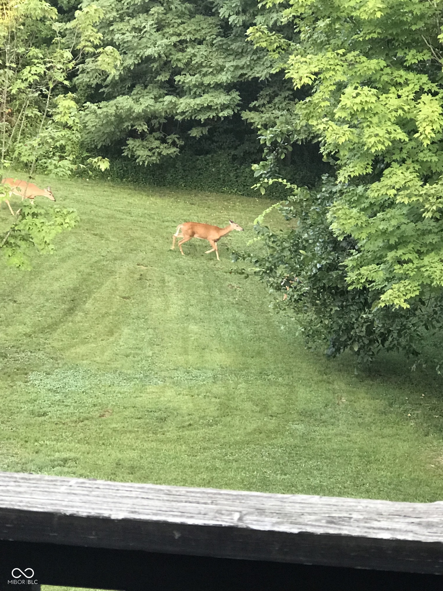 741 North County Line Road East Gosport, IN 47433 - Photo 81 of 85