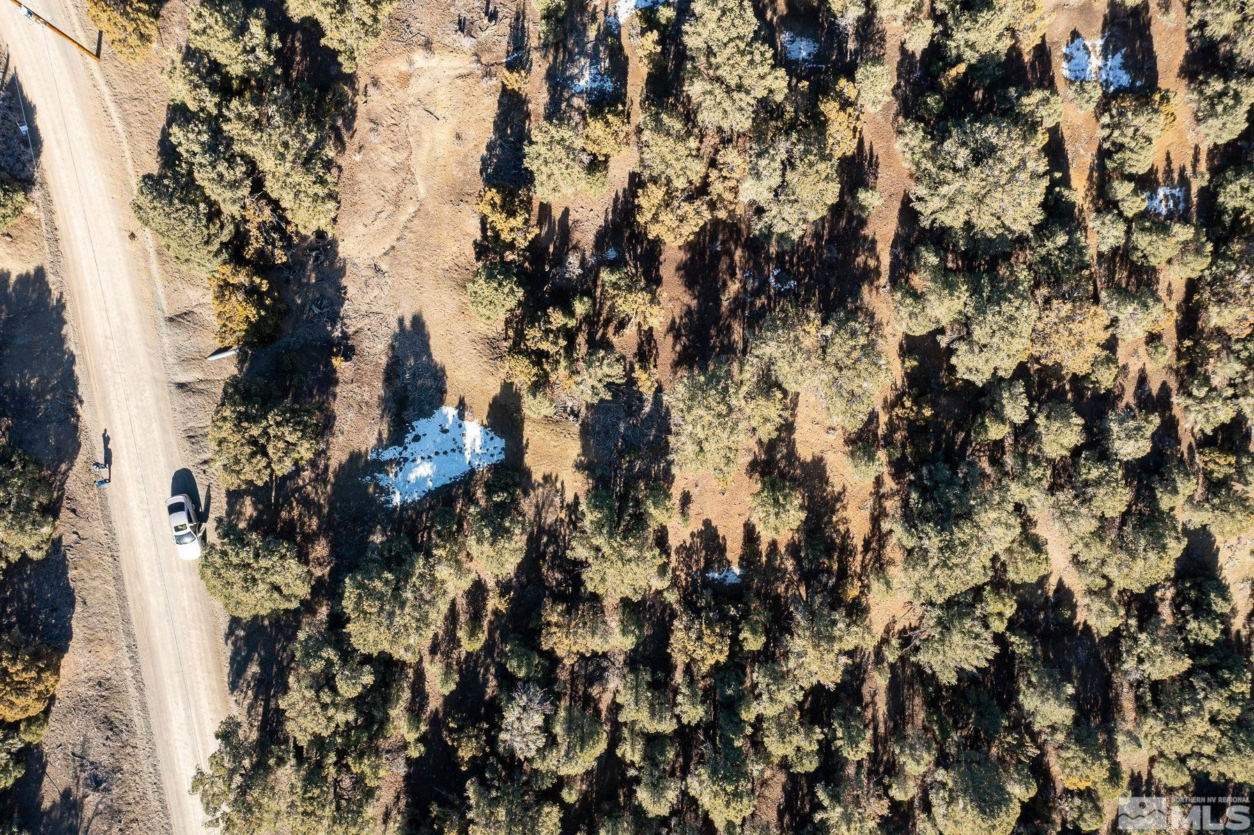 1791 Harte Road Reno, NV 89521 - Photo 3 of 6 a view of a tree