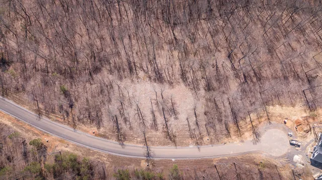 a view of wooden floor with a dry yard