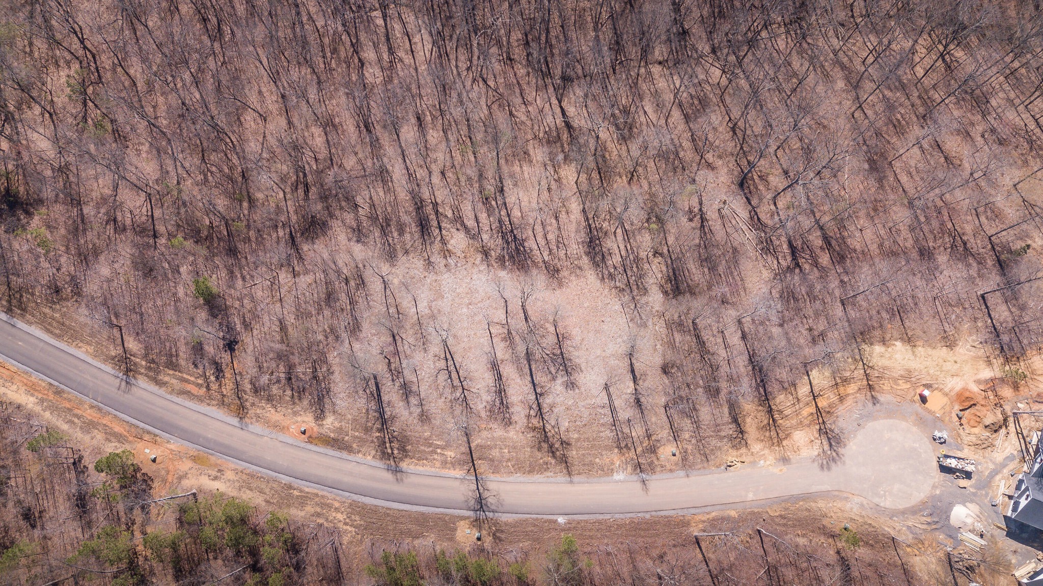 a view of wooden floor with a dry yard
