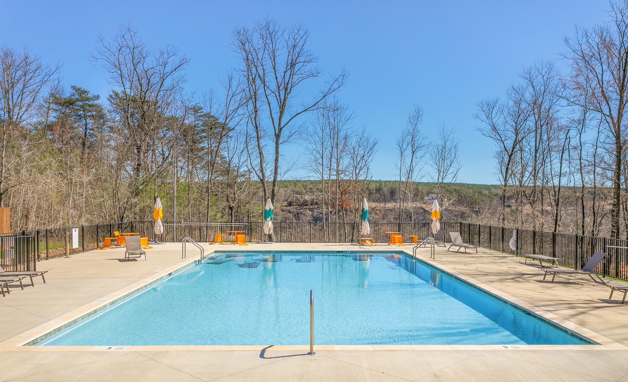 325 Whiskey Way Jasper, TN 37347 - Photo 15 of 22 swimming pool view