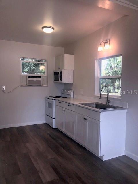 1401 East Alfred Street, Unit 9 Tavares, FL 32778 - Photo 6 of 18 a kitchen with stainless steel appliances white cabinets a sink a stove a microwave a sink and wooden floor