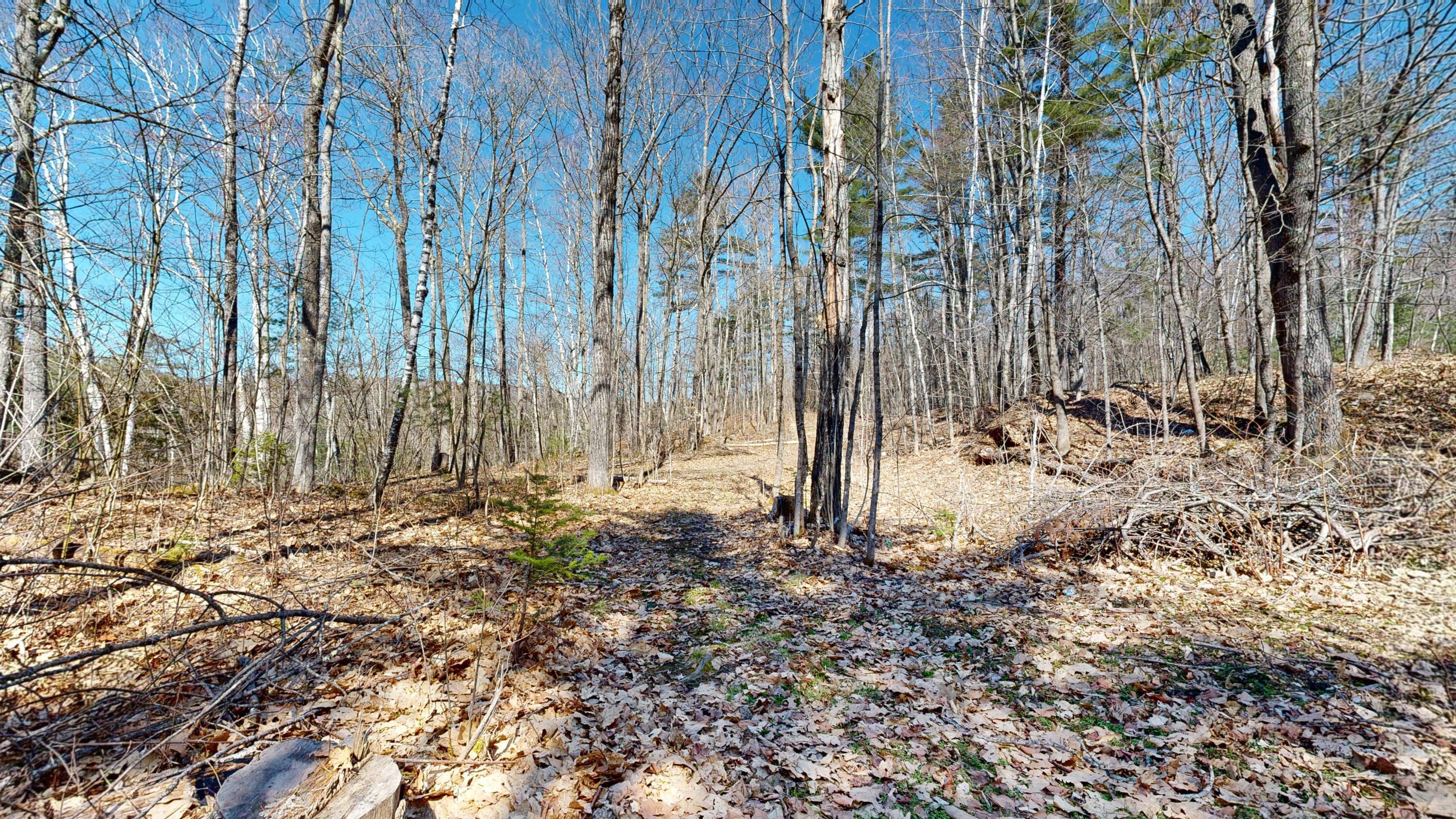 8 Dingle Hill Road Roxbury, ME 04275 - Photo 40 of 76 8-Dingle-Hill-Rd-Byron-ME-04275-04222024