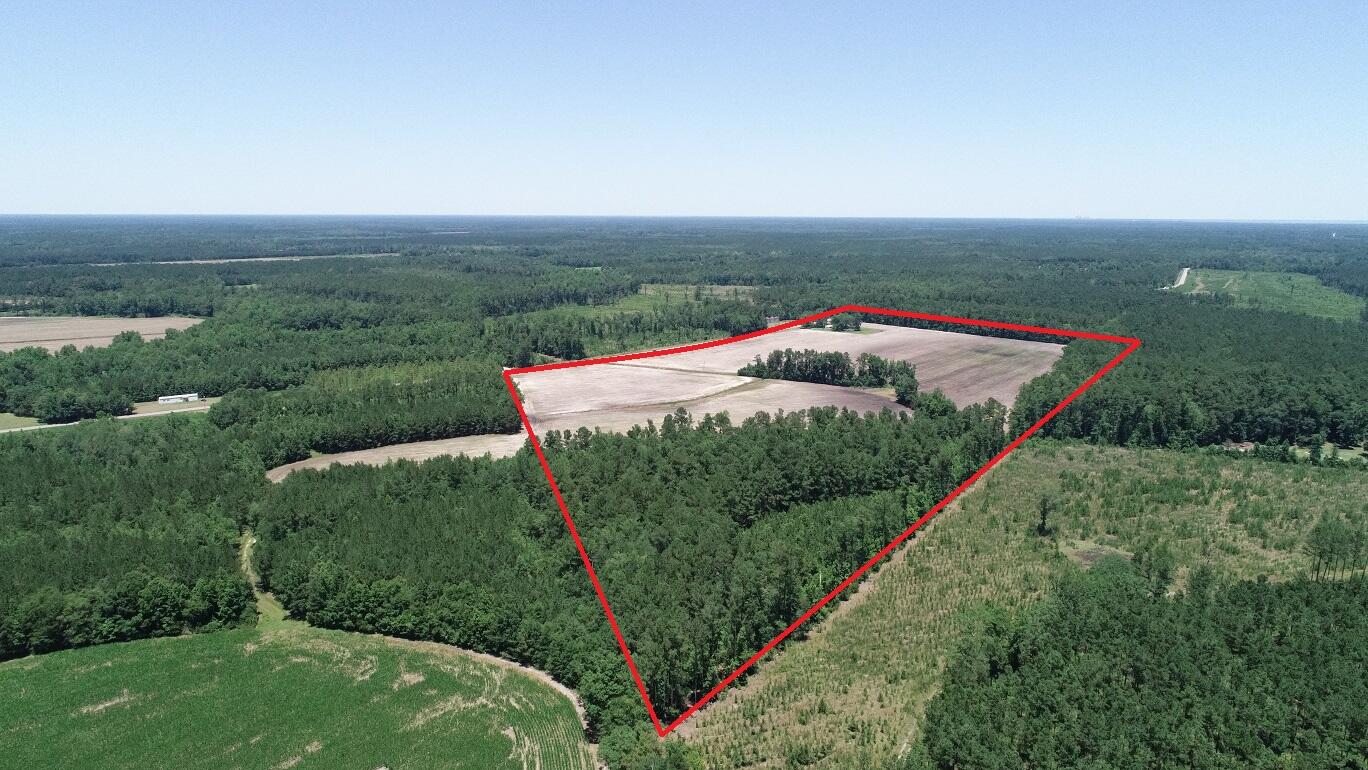 1275 Mudville Road Ridgeville, SC 29472 - Photo 8 of 8 Mudville Lot lines