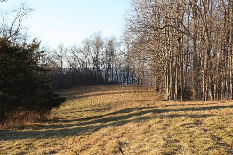 Zion Mountain Road Hinton, WV 25951 - Photo 14 of 73 Gallery Image 14