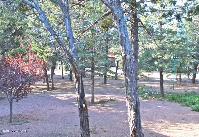 2119 Blue Jay Road Overgaard, AZ 85933 - Photo 19 of 28 a view of a yard with trees