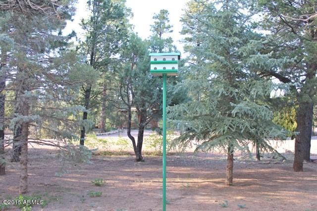 2119 Blue Jay Road Overgaard, AZ 85933 - Photo 20 of 28 a picture of trees