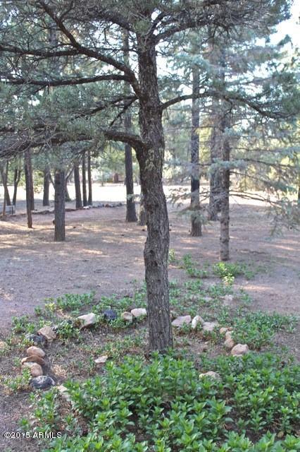 2119 Blue Jay Road Overgaard, AZ 85933 - Photo 21 of 28 a backyard of a house with lots of green space