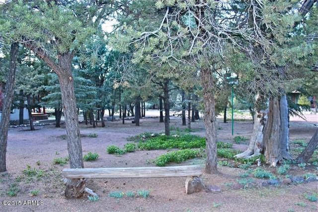 2119 Blue Jay Road Overgaard, AZ 85933 - Photo 23 of 28 a view of a park with trees and flowers