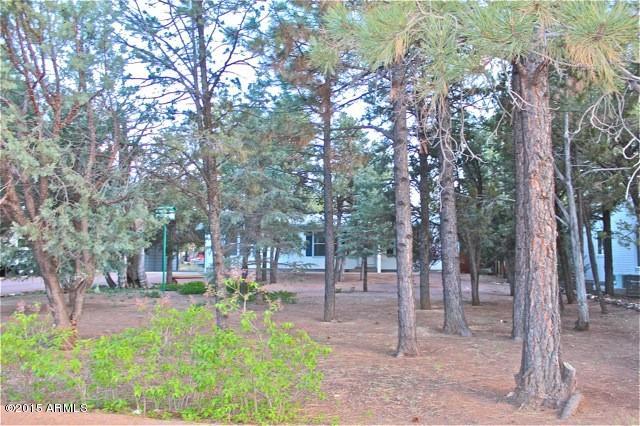 2119 Blue Jay Road Overgaard, AZ 85933 - Photo 25 of 28 a view of yard with tree
