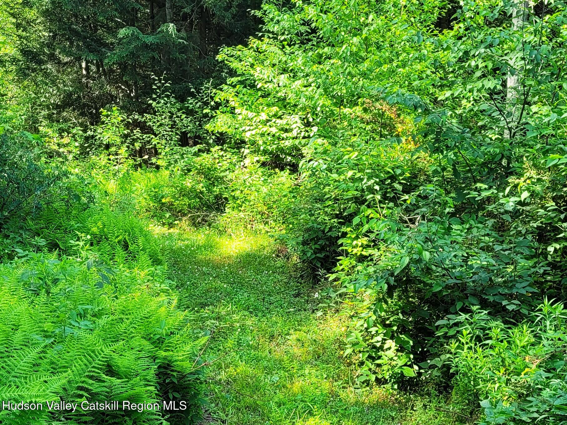 119 Brown House Road Gilboa, NY 12076 - Photo 30 of 39 20260702_163054