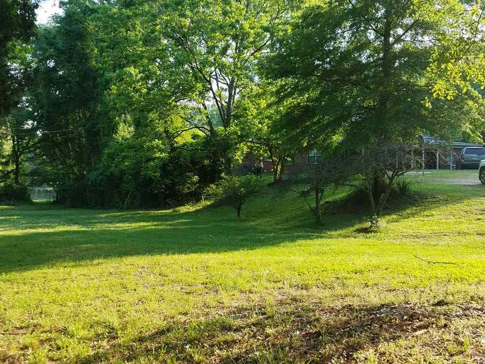 4005 Damascus Road Walnut Grove, MS 39189 - Photo 3 of 17 Photo 3