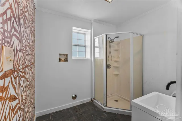 a view of a backyard with large tree