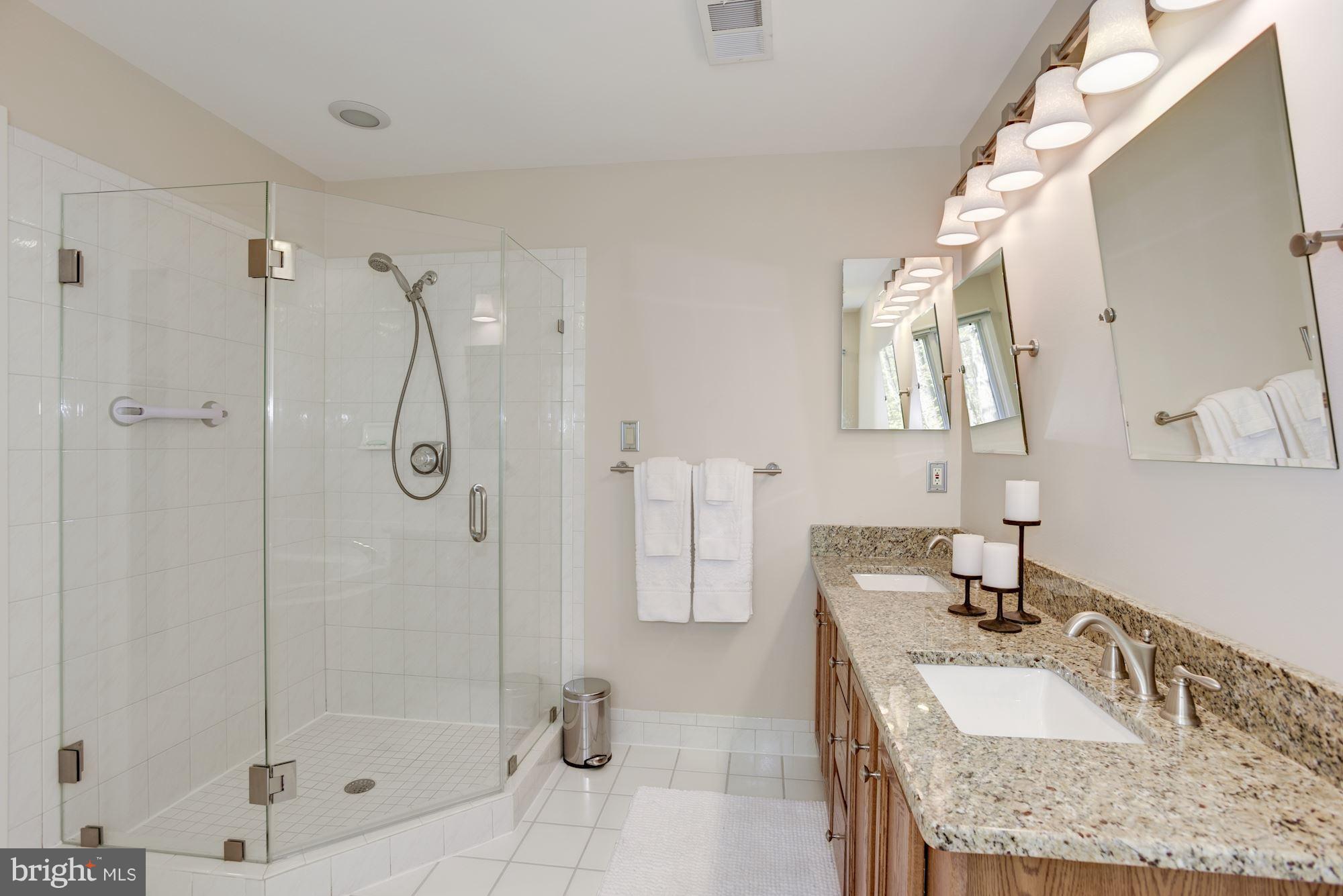 1106 Water Pointe Lane Reston, VA 20194 - Photo 18 of 30 Refurbished Owner Bath + 2 walk in closets